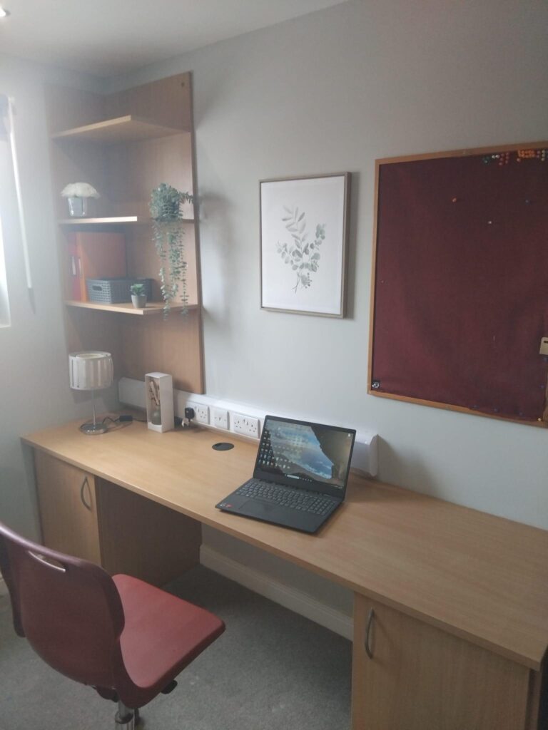 Deluxe Plus Studio